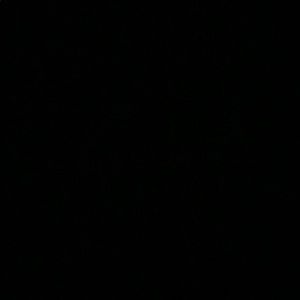 Meet your Posher, Kyra